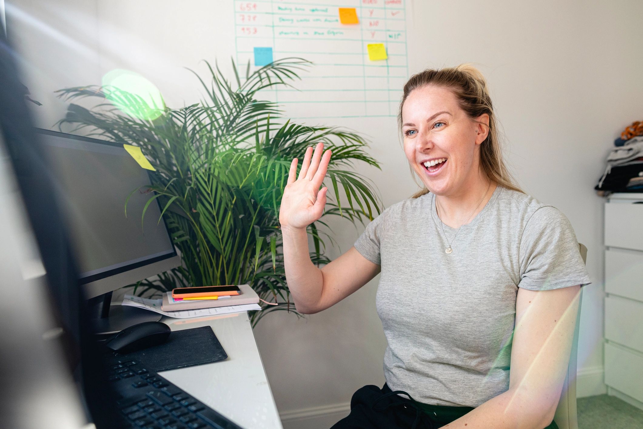 Professional online language lesson session